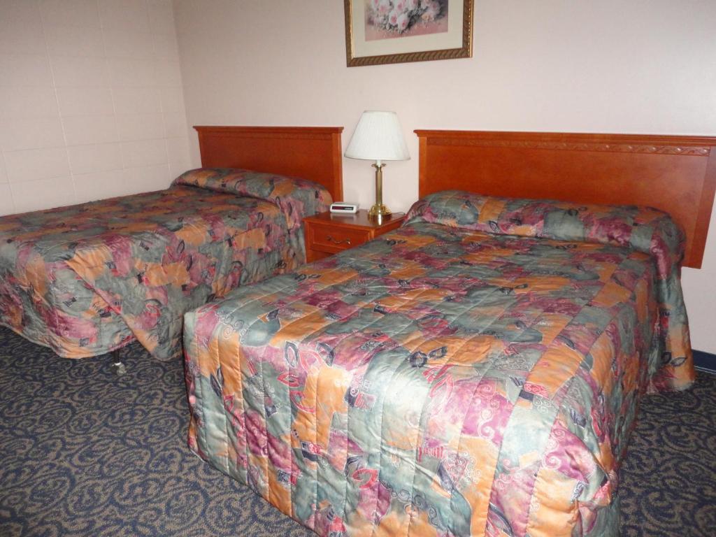 Matador Motel Drayton Valley Værelse billede