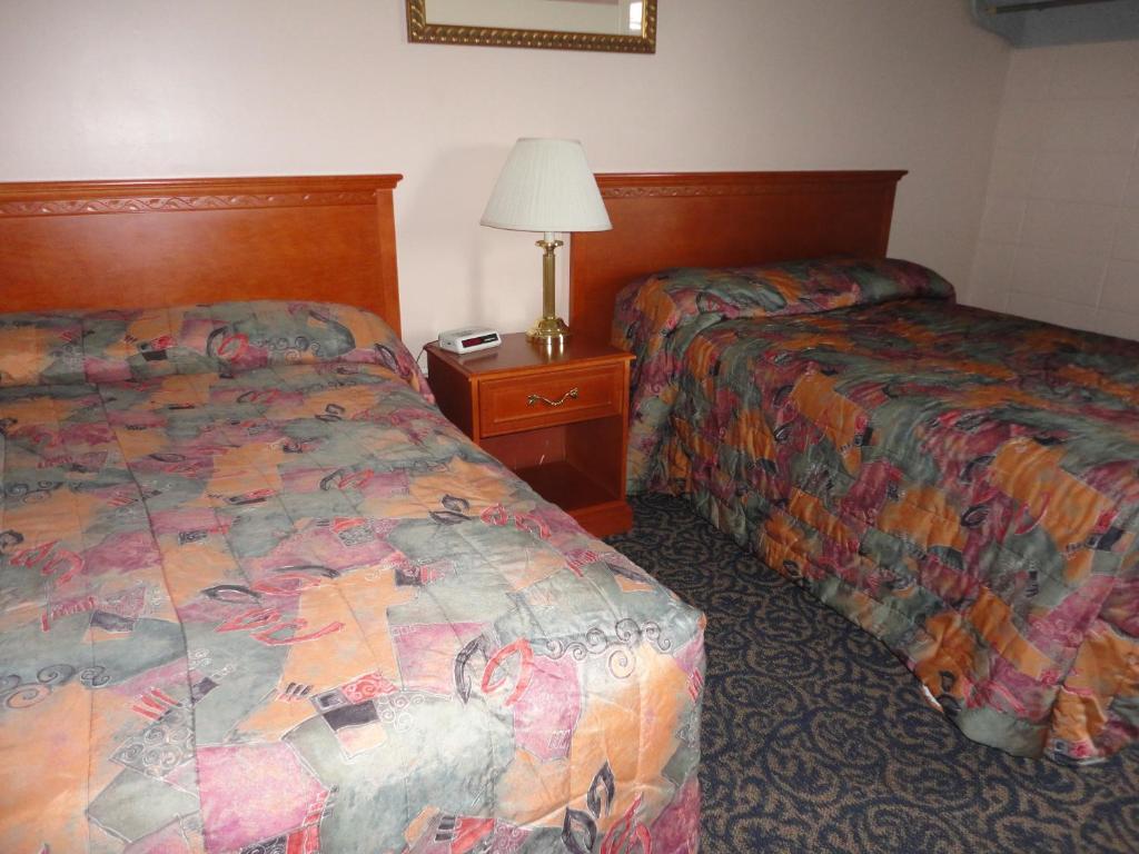 Matador Motel Drayton Valley Værelse billede